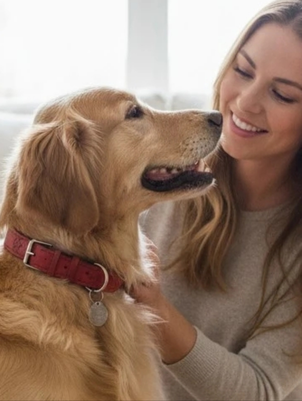 Doggie Red Leather Dog Collar
